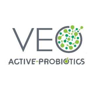 VEO logo