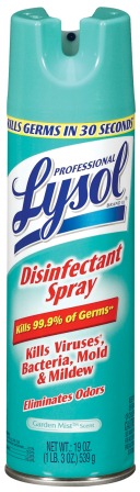 Professional LYSOL Disinfectant Spray  Garden Mist Discontinued
