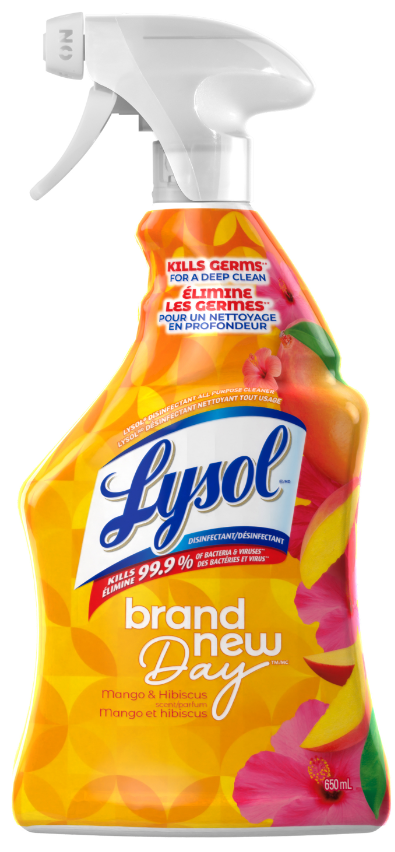 LYSOL All Purpose Cleaner  Brand New Day  Mango  Hibiscus Canada